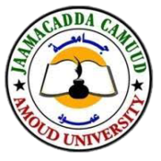 Amoud University