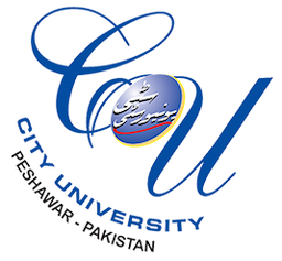 City University of Science and Information Technology