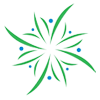 Doho University