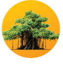 GSFC University