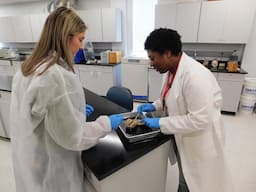 Martin Community College