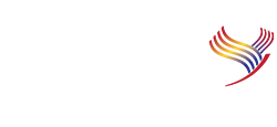 Romanian-American University