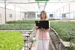 Agricultural University of Tirana